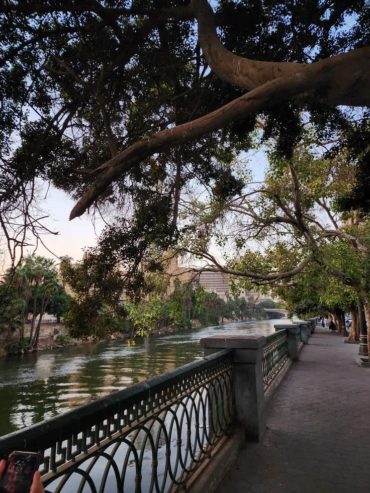 Real estate in Maadi Corniche, Egypt