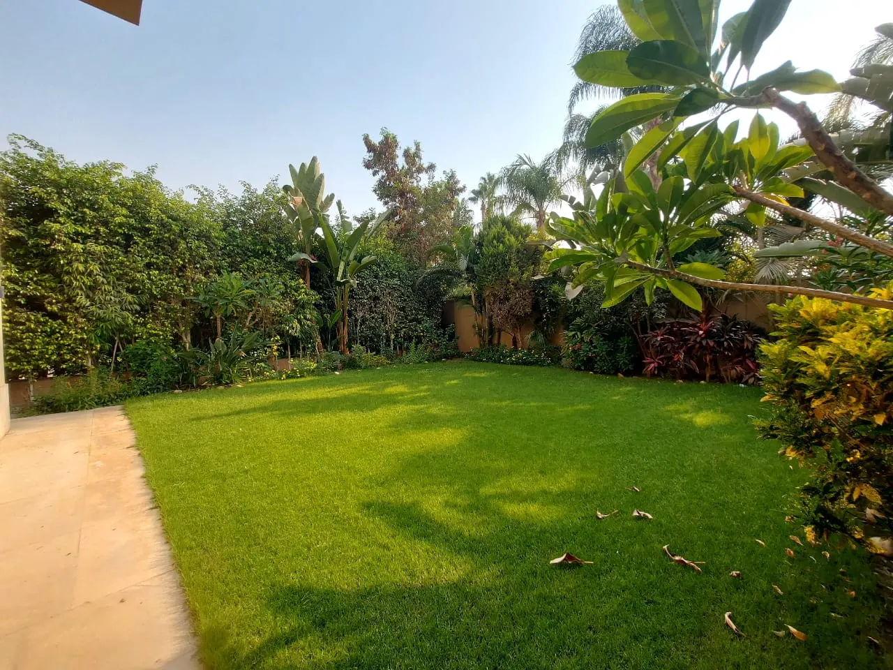 Private garden lawn edged with palms and shrubs at a ground floor apartment for rent in Fifth Settlement, New Cairo