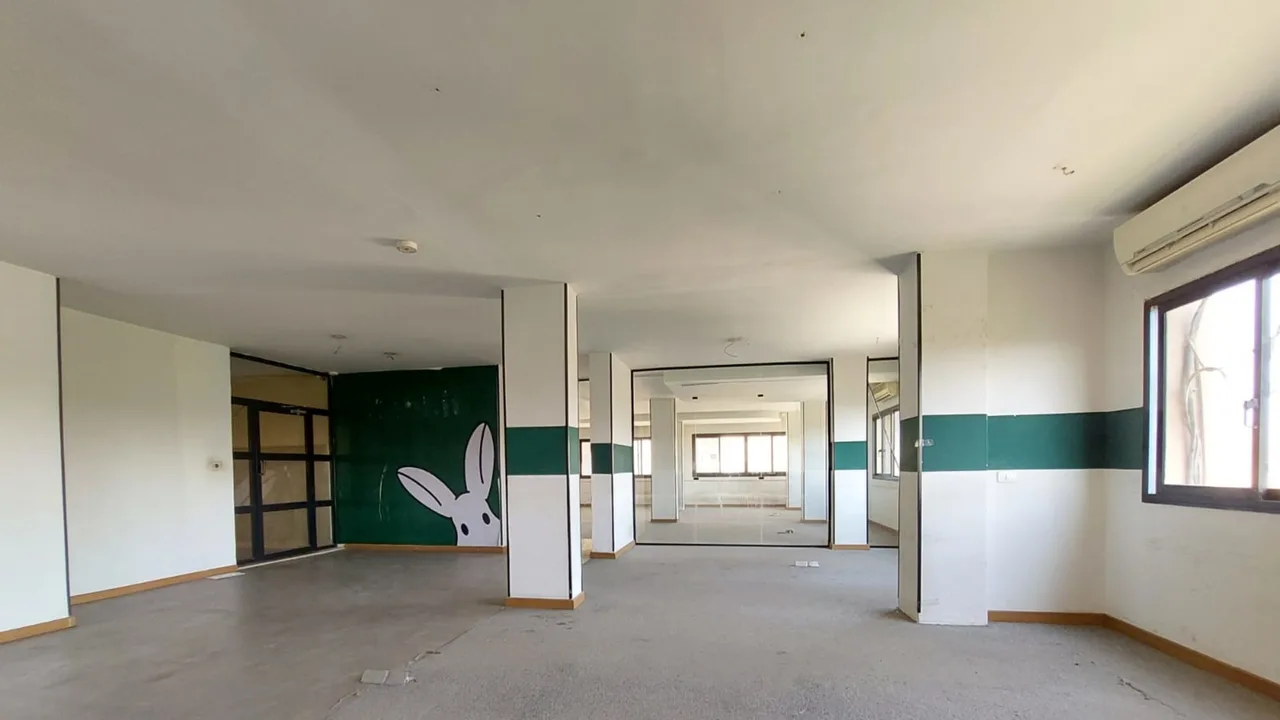 منظر بطول الدور المكتبي بالكامل والأعمدة تتوالى حتى النوافذ البعيدة، في طابق كامل للإيجار في سرايات المعادي