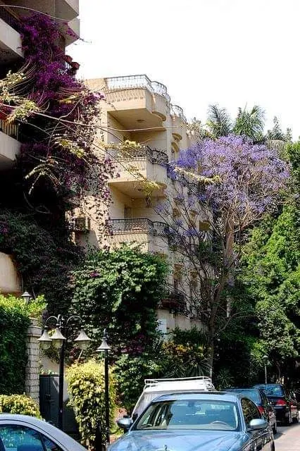 Real estate in Zahraa El Maadi, Egypt
