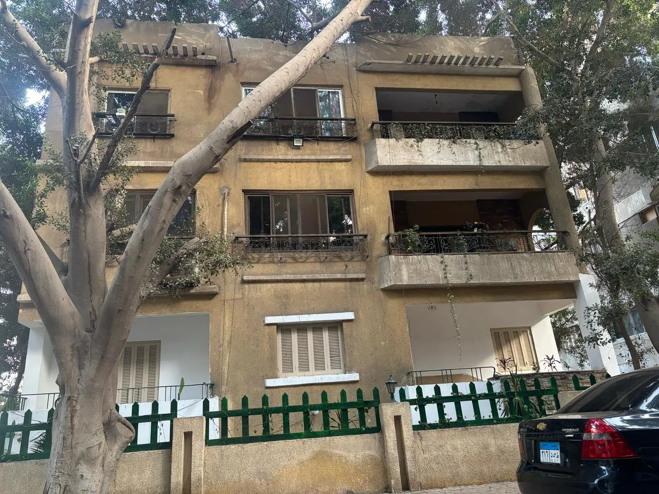Townhouse facade with balconies and a green fence in Sarayat, Maadi, Cairo, framed by a large tree