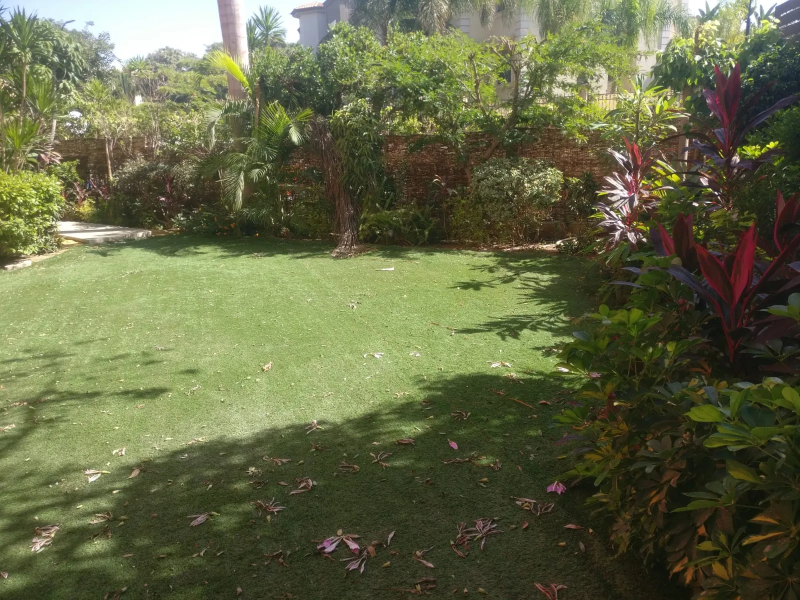 Private garden lawn framed by tropical plants at a two-bedroom ground floor for rent in Fifth Settlement, New Cairo