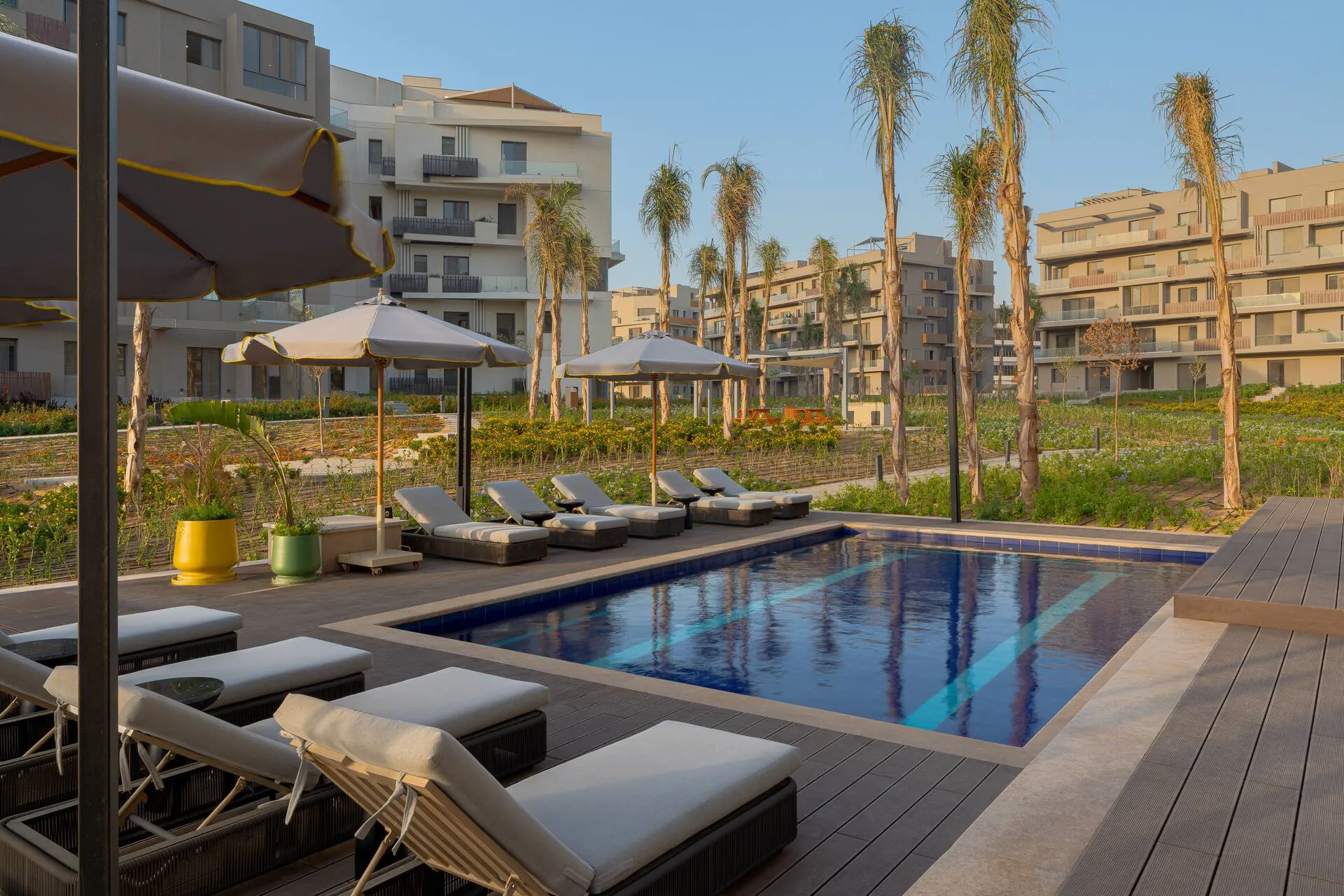Pool with sun loungers and palm trees at Lemon Spaces, a serviced apartment residence in New Cairo