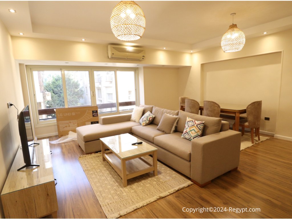 the Best Types of Rental Units in Maadi