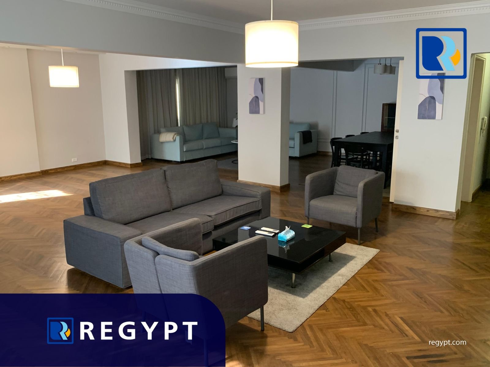 Wide Reception in a Modern Ground floor For Rent in maadi degla