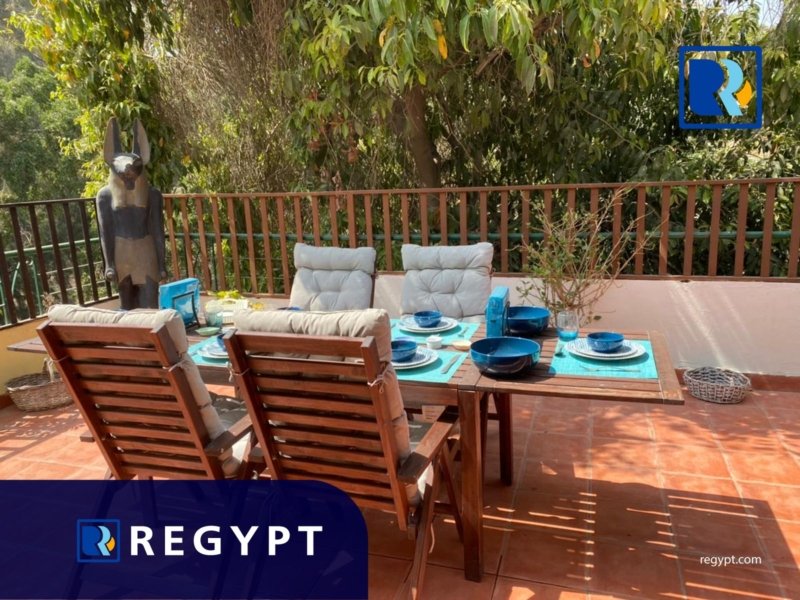 Stunning terrace in Penthouse For Rent in maadi cairo
