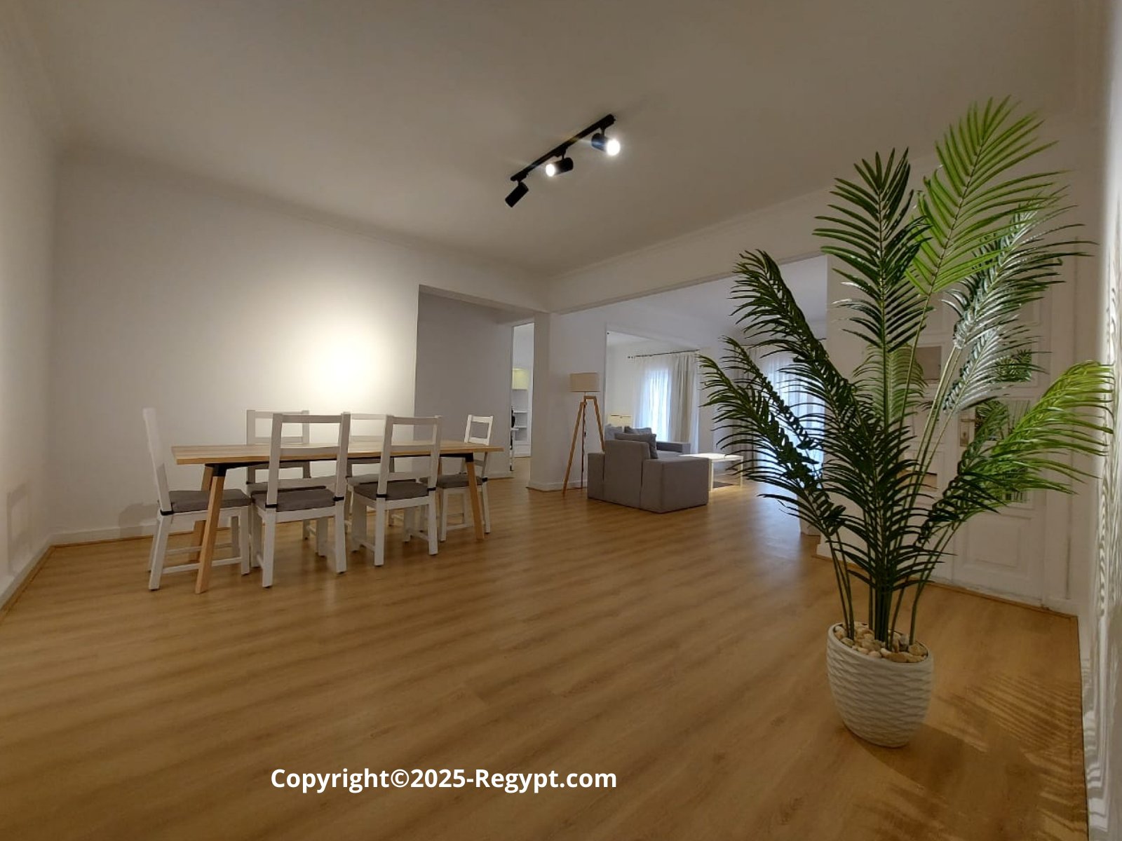 apartmnet for rent in maadi (4)