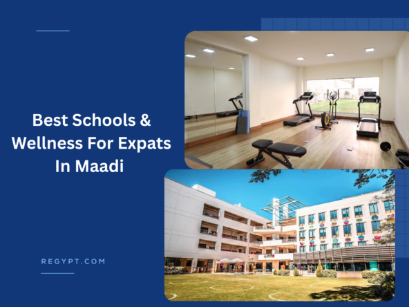 Best Schools & Wellness For Expats In Maadi
