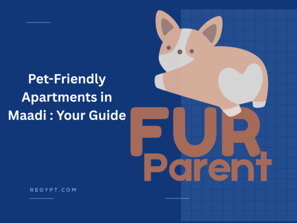 Pet-Friendly Apartments in Maadi Your Guide