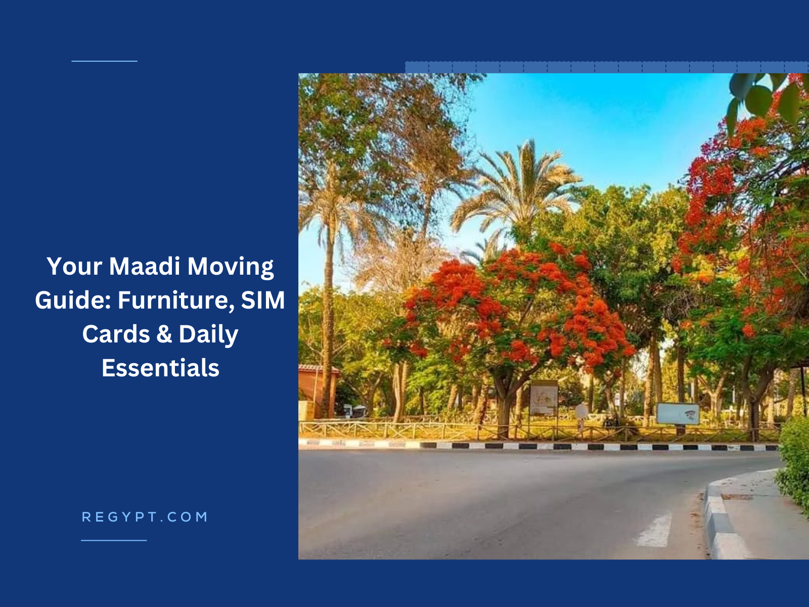 Your Maadi Moving Guide Furniture, SIM Cards & Daily Essentials