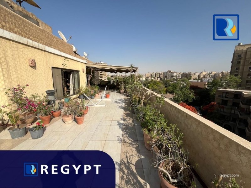 Penthouse Furnished -apartment-for-rent-in-maadi-degla-.regypt-real-estate-company.jpeg