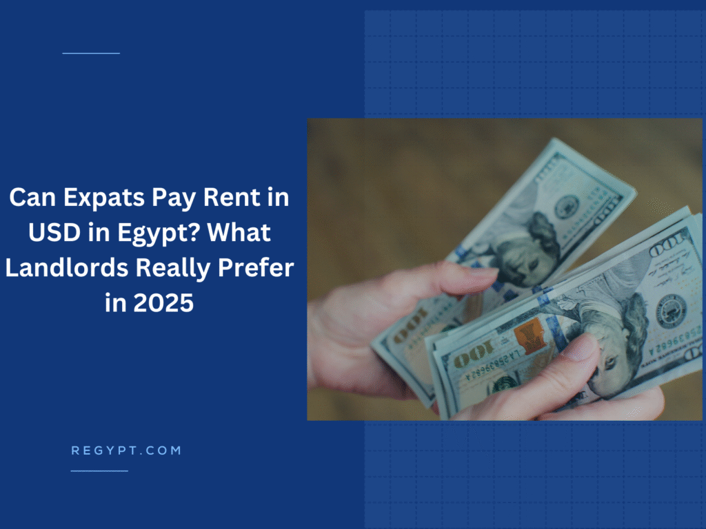 Can Expats Pay Rent in USD in Egypt What Landlords Really Prefer in 2025