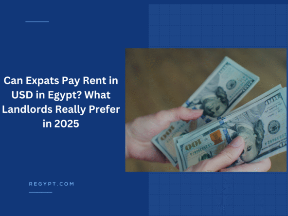 Can Expats Pay Rent in USD in Egypt What Landlords Really Prefer in 2025