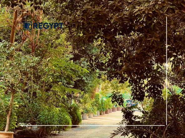 Best Neighborhoods in Maadi, Cairo Egypt for Expats