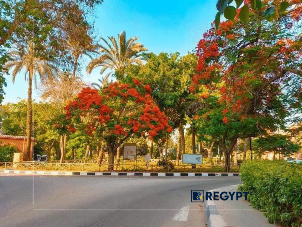 The Best Residential Streets in Maadi for Peaceful Living