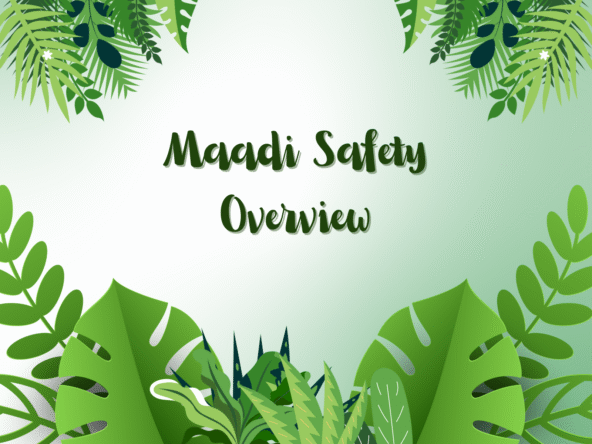 Maadi Safety Overview for International Residents