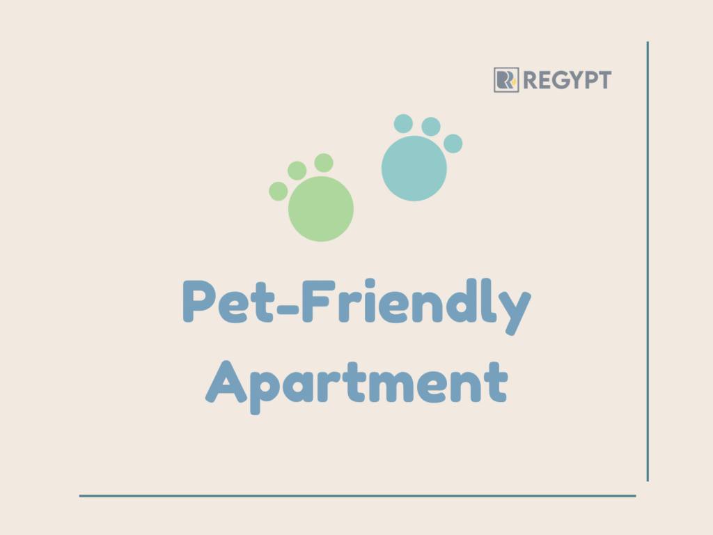Renting with Pets in Zamalek Real Experiences from Expats