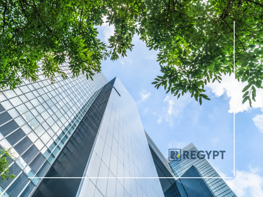 Top Commercial Areas in Cairo for Office Rentals in 2025