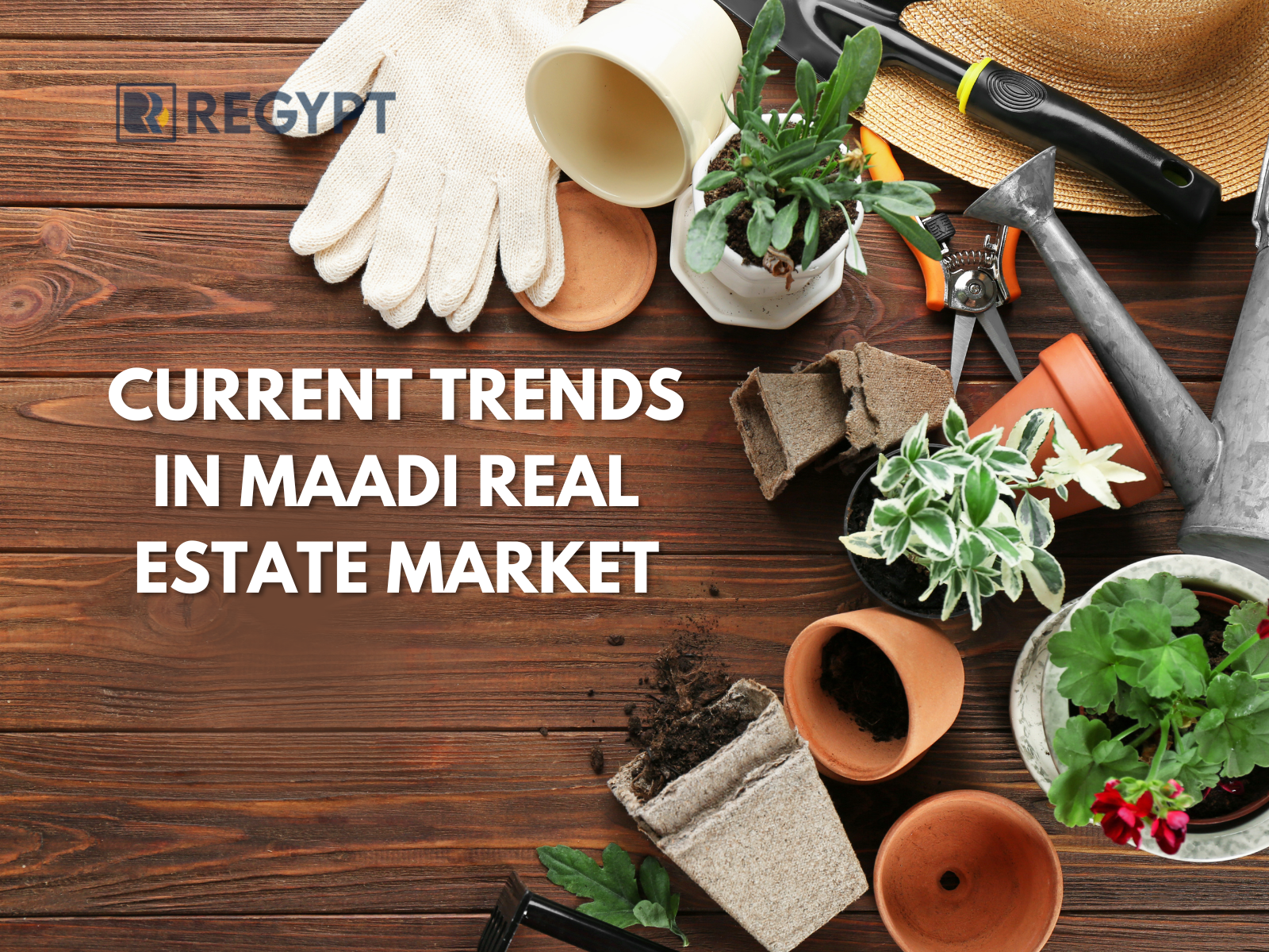 Current Trends in Maadi Real Estate Market.