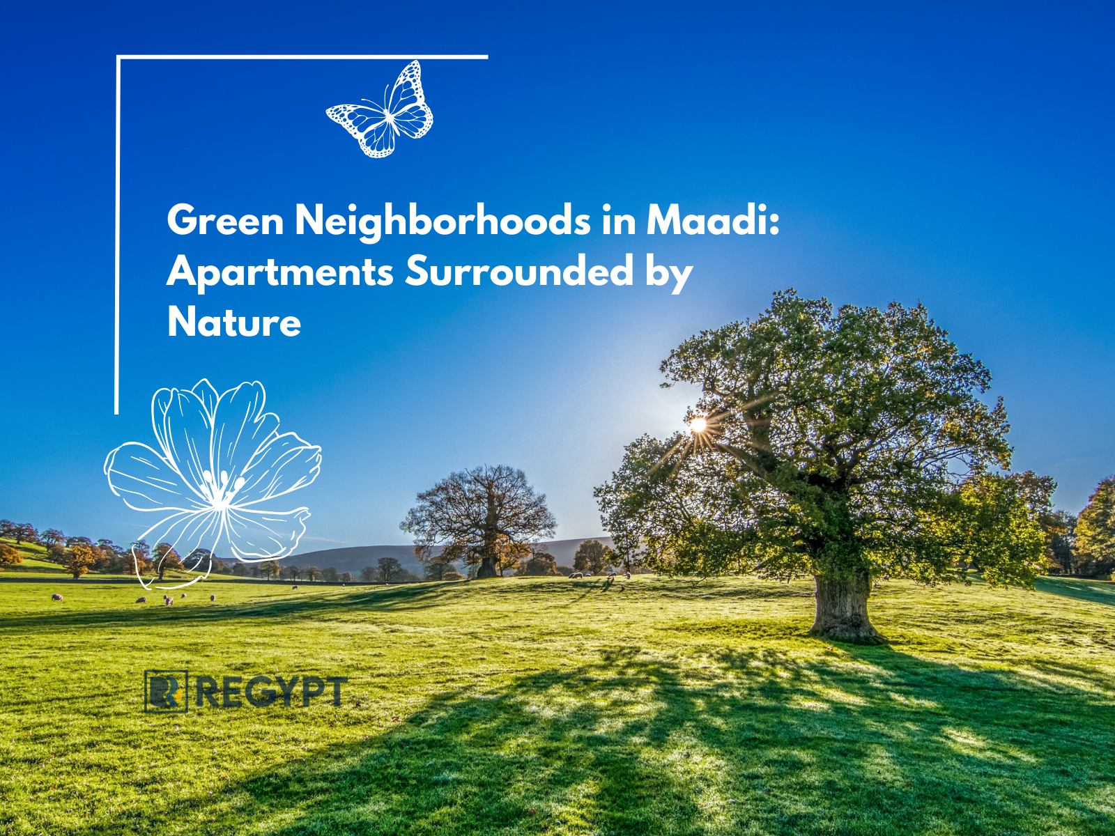 Green Neighborhoods in Maadi Apartments Surrounded by Nature
