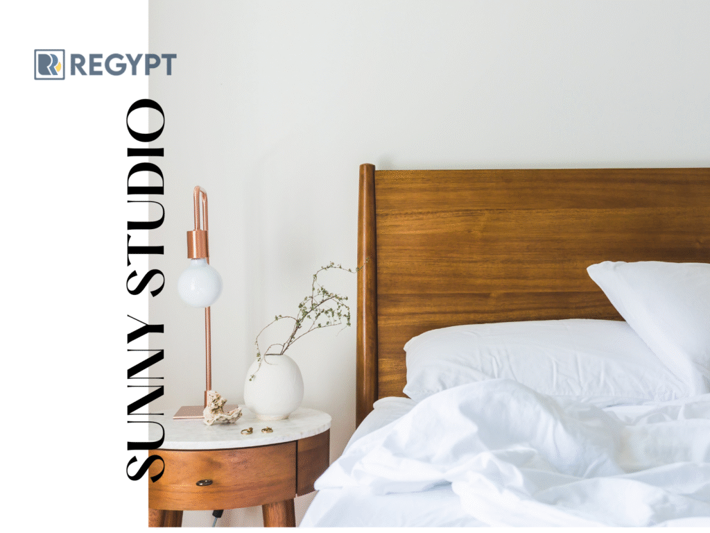 Guide to 1-Bedroom Apartments in Maadi for Young Professionals