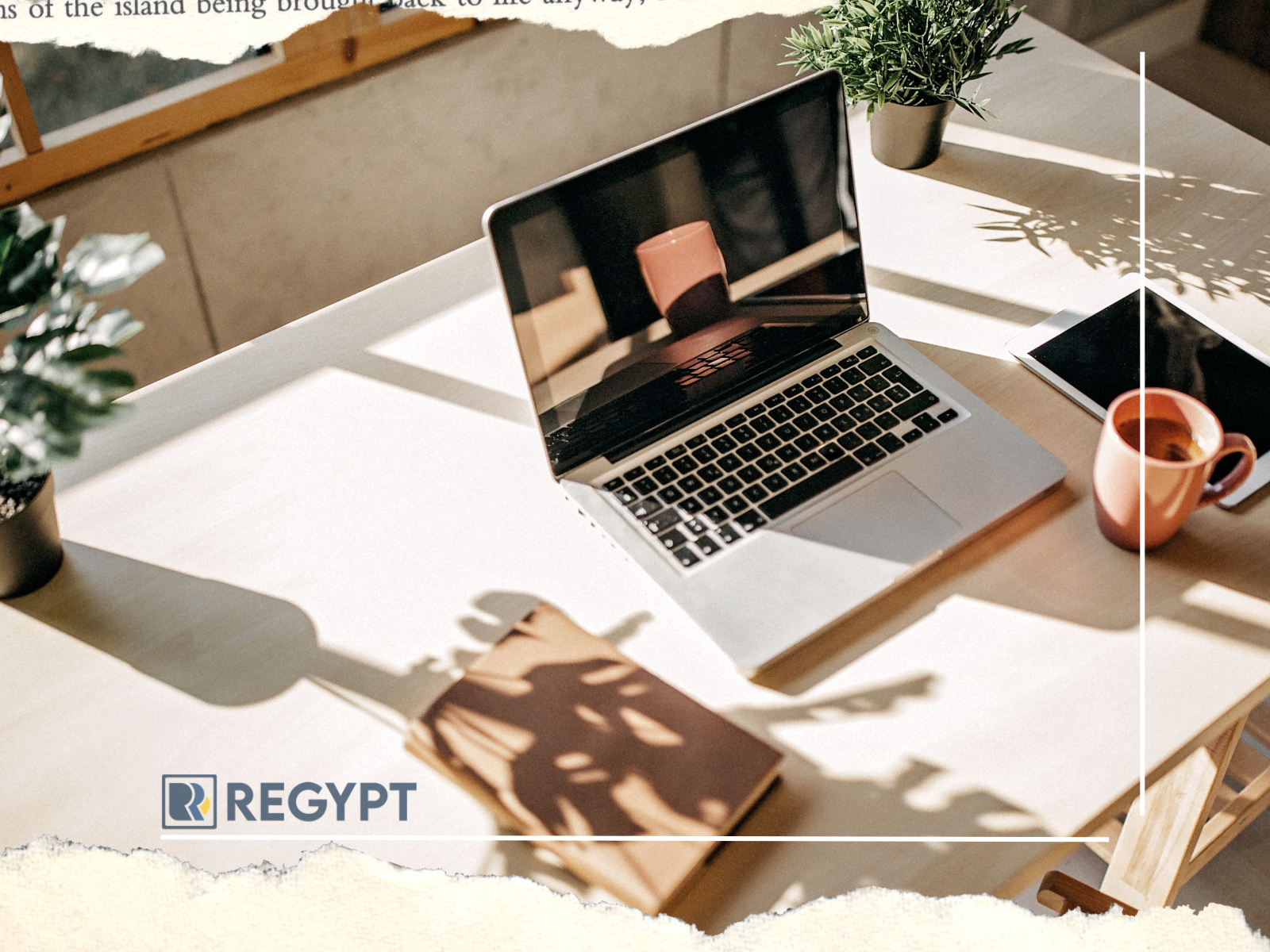 The Rise of Co-Working Spaces in Egypt's Business Districts